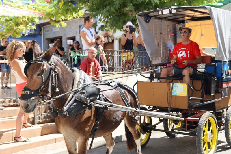 La presentació i l’entrada de la murta aporten l’ambient a l’arranc de les festes de Llíber La presentació i l’entrada de la murta aporten l’ambient a l’arranc de les festes de Llíber